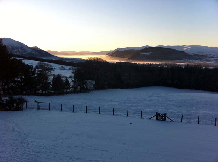 Winter View