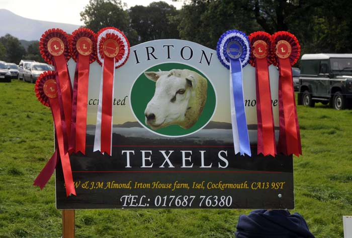 texel awards