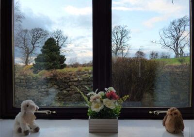 window view